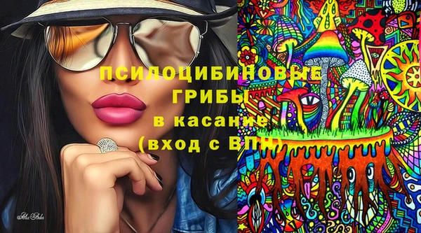 ПСИЛОЦИБИНОВЫЕ ГРИБЫ Алзамай