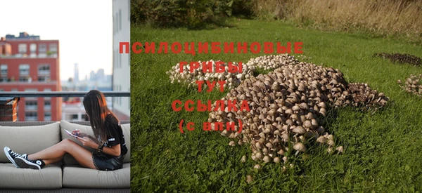 крисы Алексин