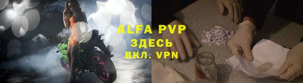 крисы Алексин
