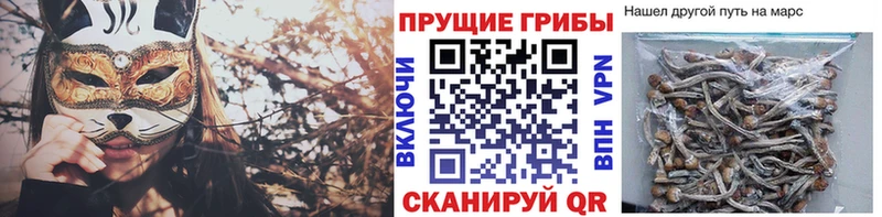 Галлюциногенные грибы ЛСД  Сухой Лог 
