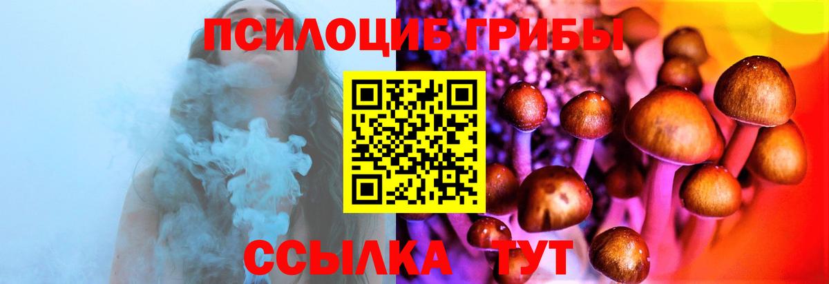 Сухой Лог  Галлюциногенные грибы Cubensis  Вход с VPN 